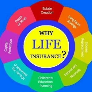 Meet your Posher, Quentin